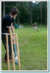 Playing Cricket